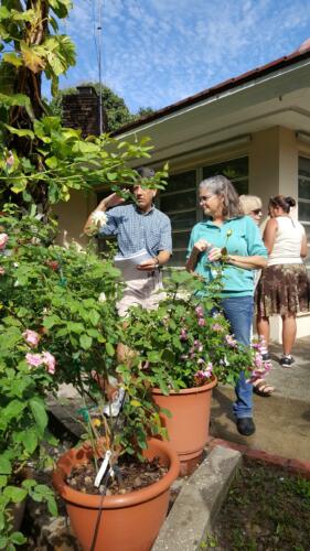 gardentour-03
