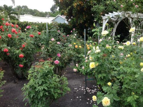 gardentour-05