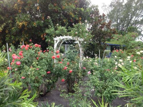 gardentour-06