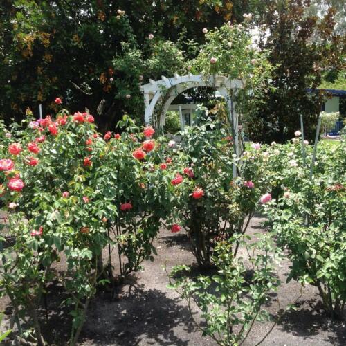 gardentour-07