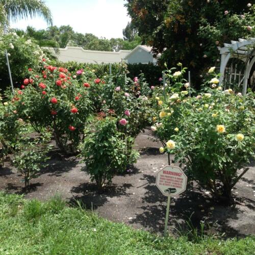 gardentour-08
