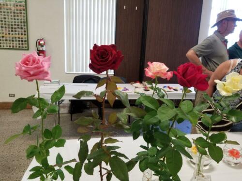 show2018-018